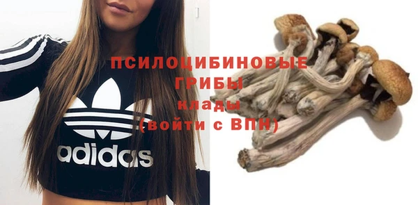 2c-b Коряжма