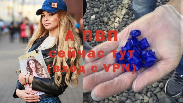 сатива Костерёво