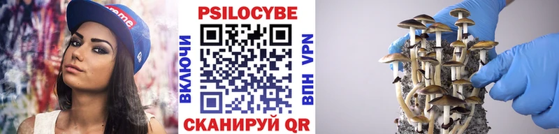 Купить где  Протвино  Псилоцибиновые грибы мухоморы 