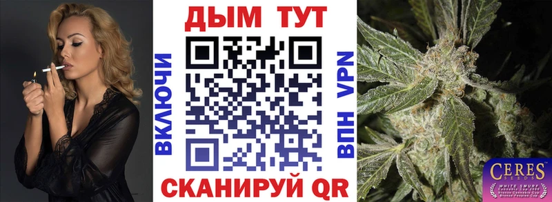 Купить где  Протвино  Канабис семена 